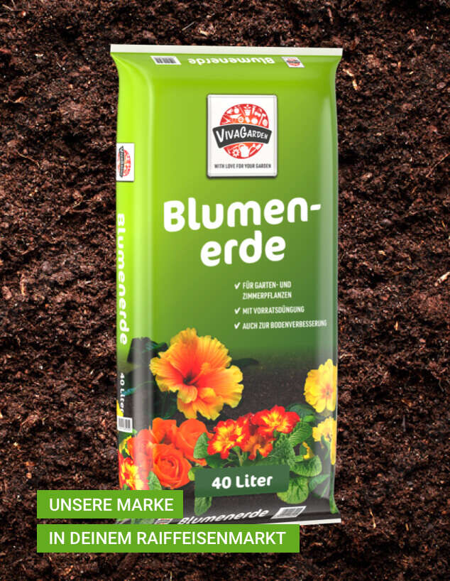 bild viva garden blumenerde